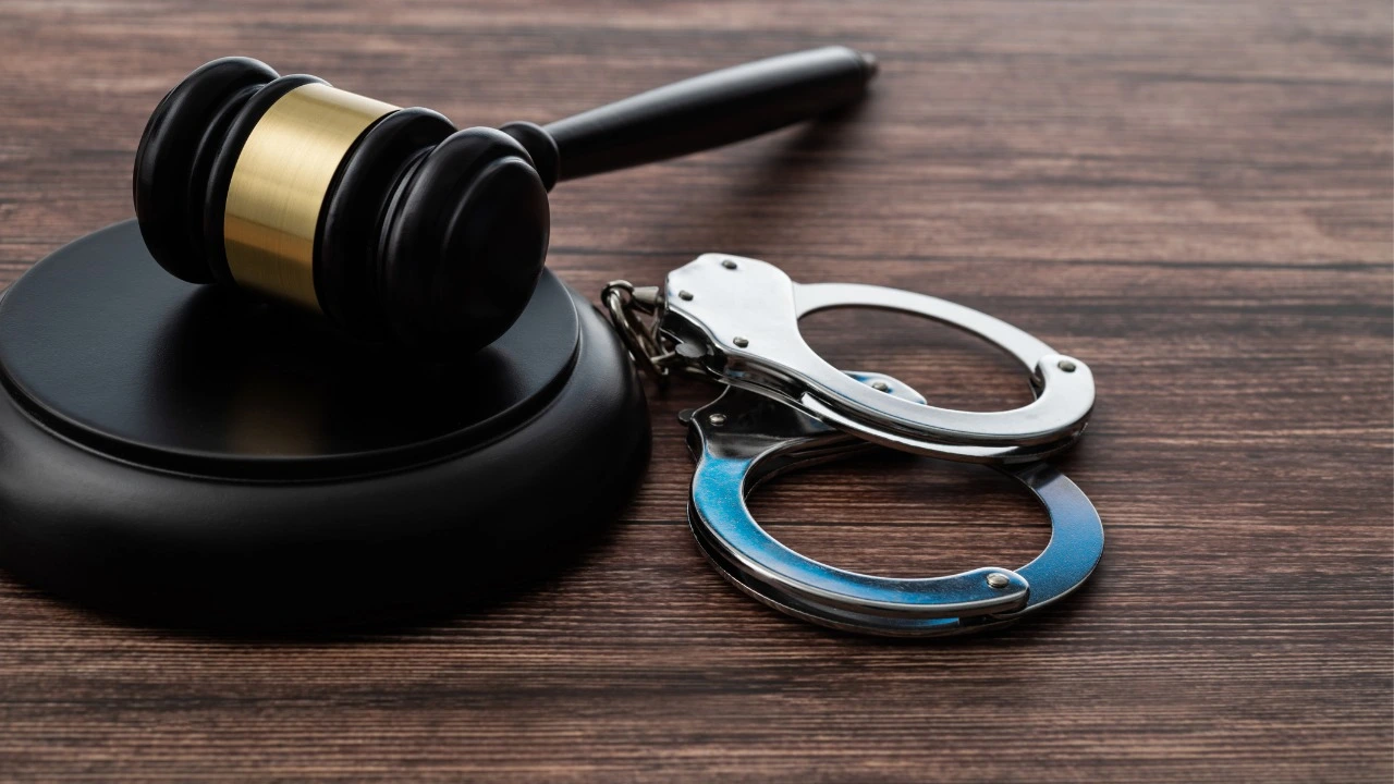 Katalog Suçlar Nelerdir?